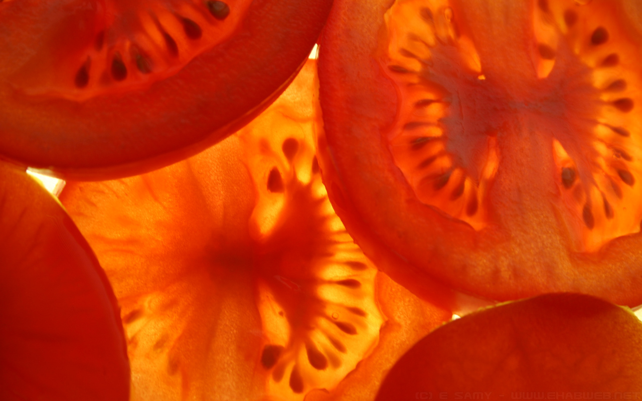 Sliced Tomatoes Wallpaper