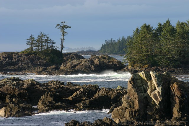 Pacific Crest Trail - Western Vancouver Island