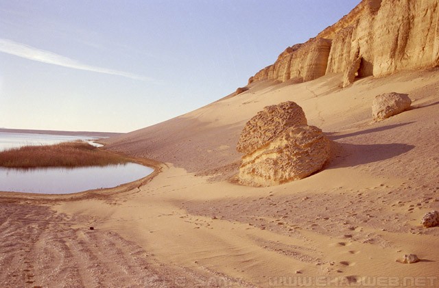 Fayoum desert