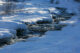 Snow Covered Stream - Whistler