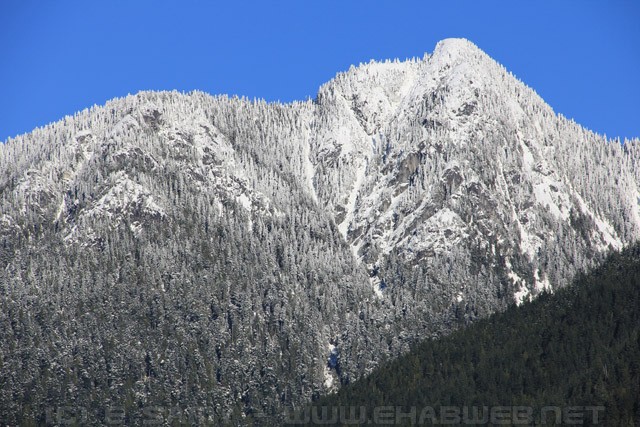 Professional photo of Snowy mountain top