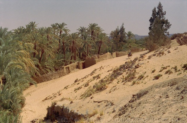Bawiti, Bahariya Oasis, Egypt