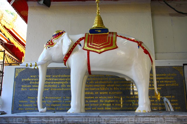 White elephant shrine - Doi Suthep