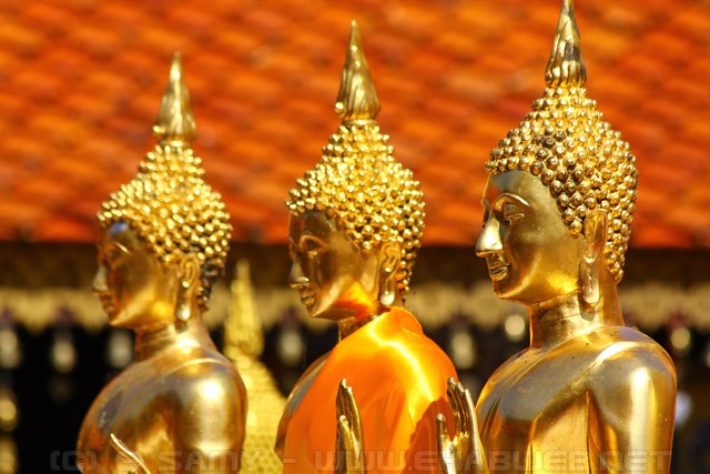 Golden Buddha Statues - Doi Suthep