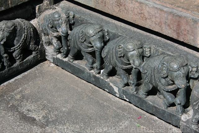 Elephant Friezes - Chennakesava Temple - Belur