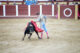 Bullfighting - Plaza De Toros De Fuengirola - Spain