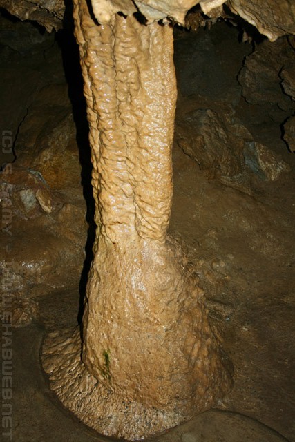 Column - Oregon Caves