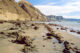 Cape Kidnappers beach - Hawke's Bay
