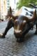 Wall Street Bull - New York City