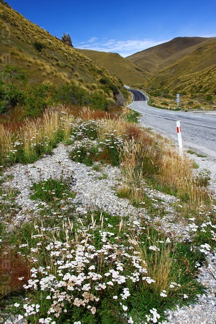 South Island Roads