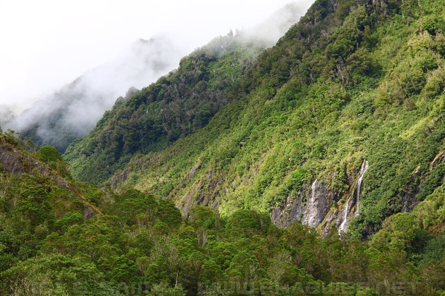 Westland Tai Poutini National Park - New Zealand