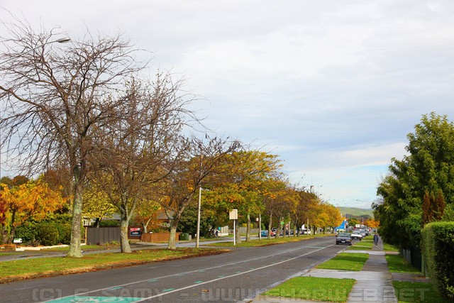 Napier Road - Havelock North - New Zealand