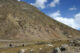 Tibetan Yak - Tibetan Plateau - Tibet - བོད - 藏区 - 西藏自治区