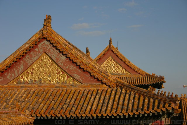 Yellow Roofs - Forbidden City - Beijing - 故宫