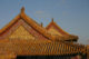 Yellow Roofs - Forbidden City - Beijing - 故宫