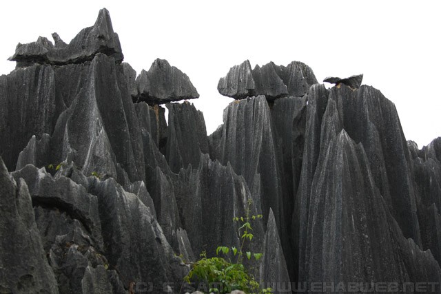Shilin Stone Forest - 石林