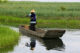 Fishermen on the lake - Eryuan - Dali - 洱源 - 大理