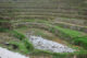 Longsheng (Dragons Backbone) Rice Terraces - 龙胜梯田