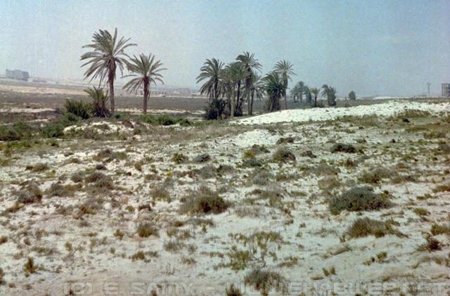 Desert - Northern Coast of Egypt - الساحل الشمالي