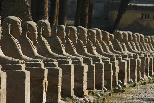 Road of Sphinxes - Luxor Temple - معبد الأقصر