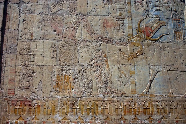 Ancient Egyptian hieroglyphics - Hatshepsut Temple - معبد حتشبسوت