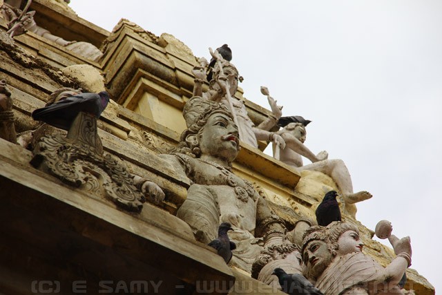 Bull Temple - Dodda Basavana Gudi - ಬುಲ್ ಟೆಂಪಲ್ -Bangalore