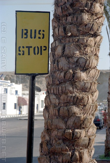 Bus Stop - Sharm El-Sheikh - شرم الشيخ‎