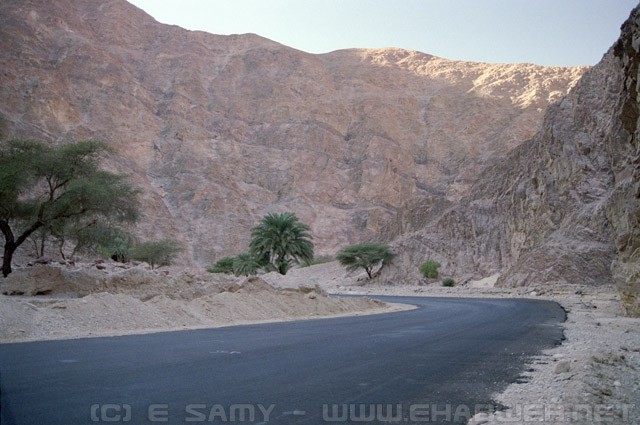 Sinai Road - سيناء