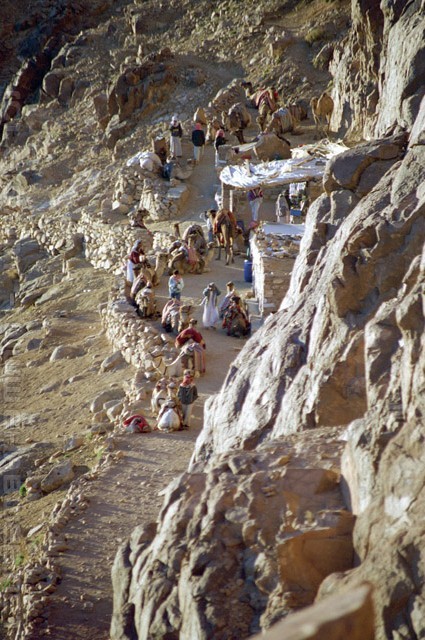 Camels and Bedouins - Mount Sinai - הר סיני‎ - طور سيناء - جبل موسى