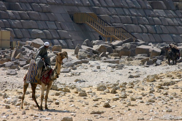 Camel Rider near the Pyramids at Giza - أهرامات الجيزة