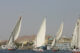 Felucca boats on the Nile - النيل