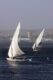 Felucca boats on the Nile - النيل