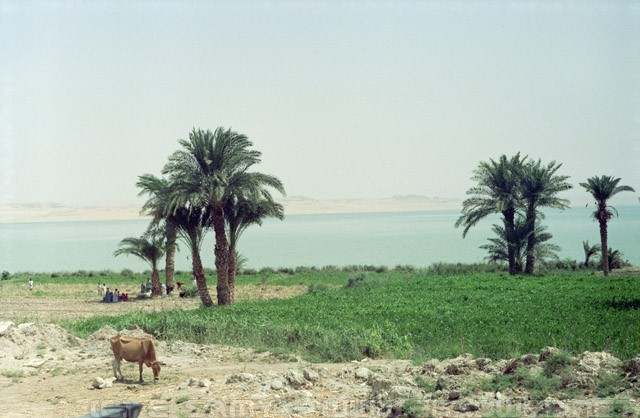 Lake Qarun - Al Fayoum - الفيوم