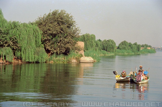Fishing family on the Nile - النيل