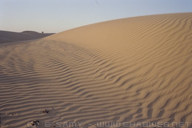 Sand Dunes - Egyptian Desert - الصحراء المصرية