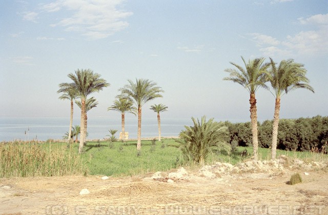 Lake Qarun - Al Fayoum - الفيوم