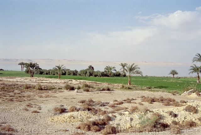 Fayoum Desert - Al Fayoum - الفيوم