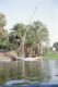 Scenery along the Nile River - النيل
