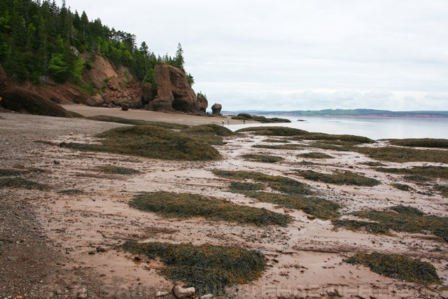 Beach on the Bay of Fundy - New Brunswick