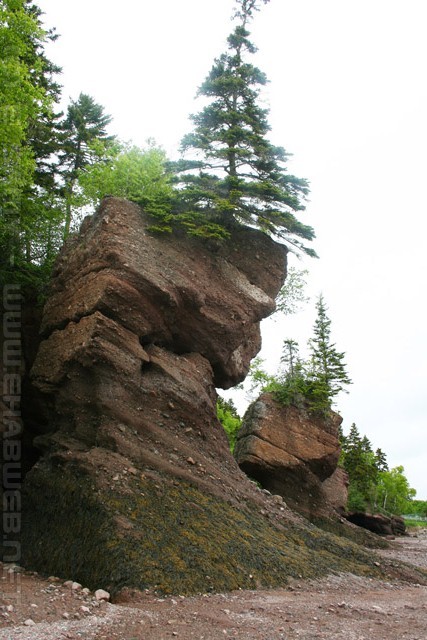Hopewell Rocks - New Brunswick