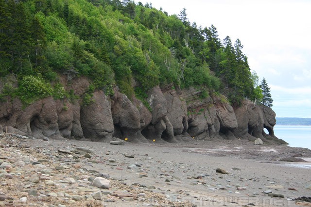 Beach on the Bay of Fundy - New Brunswick