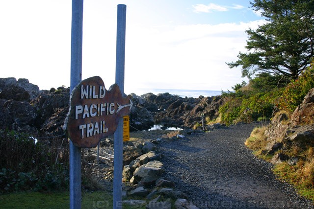 Wild Pacific Trail Sign - Vancouver Island - British Columbia