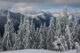 Snow Covered Peaks - Mount Seymour - British Columbia