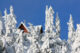 Cabin on top of Mount Seymour