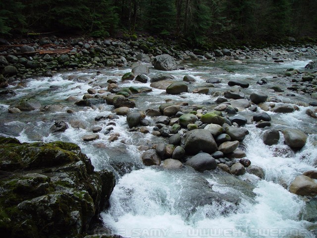 Lynn Creek - North Vancouver