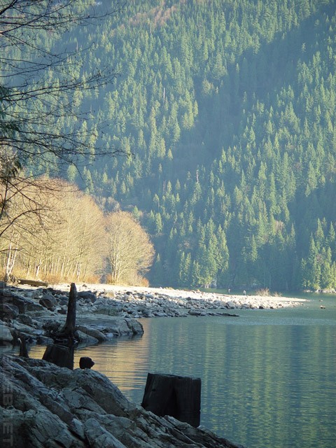 Alouette Lake - Golden Ears - Maple Ridge - BC