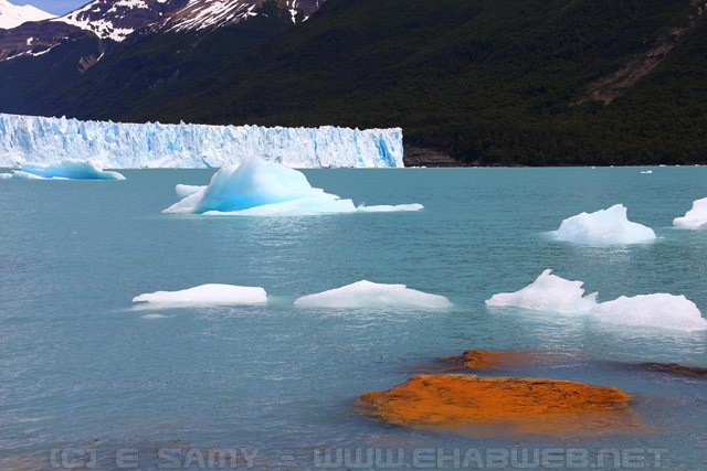 Floating icebergs - Perito Moreno glacier - Patagonia - Argentina