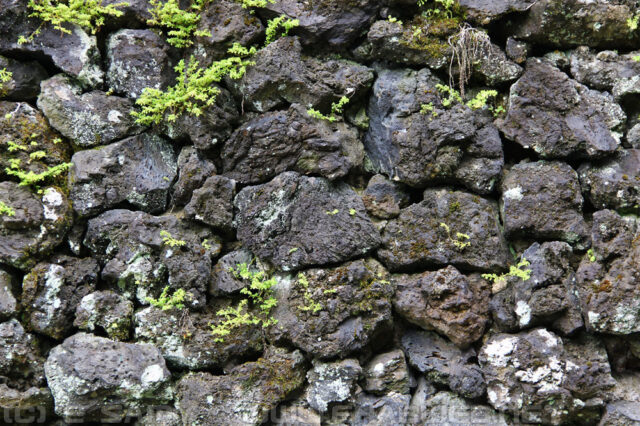 Volcanic Rocks Wall - Hana Road