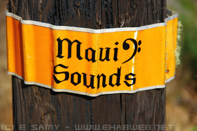 Maui Sounds Sticker
