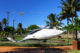 Whale Statue - Kihei - Maui